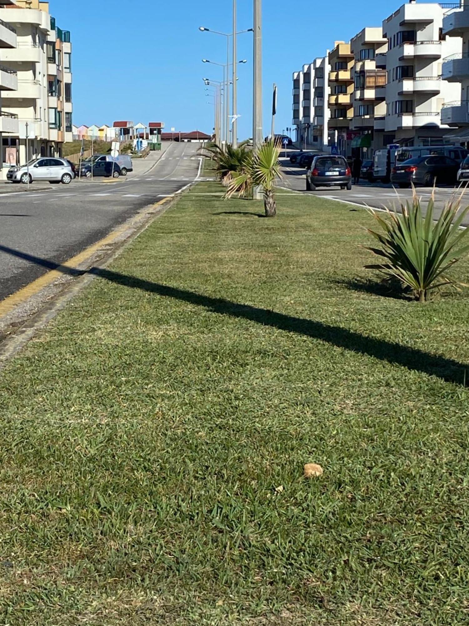 Apartamento Vista Mar Vieira de Leiria Εξωτερικό φωτογραφία